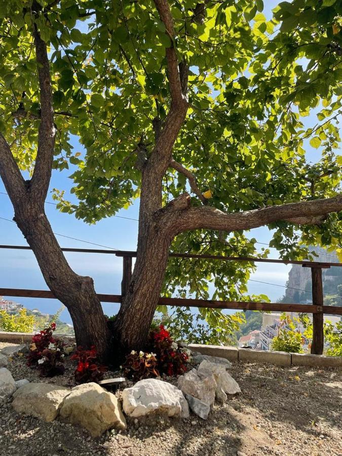 La Villa Di Enzo Casa Vacanze Con Vista Mare Amalfi Kültér fotó